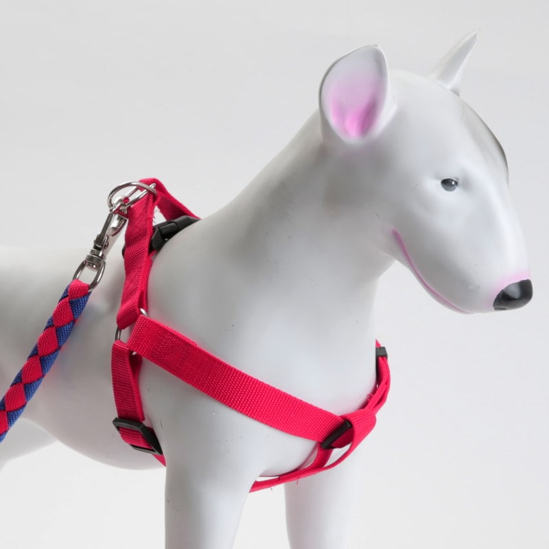 Product Image for 3 delers selesett til hund: Sele/Halsbånd/Kobbel