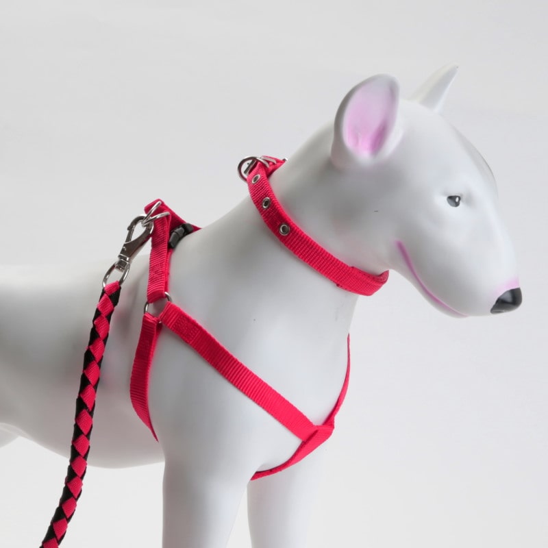 Product Image for 3 delers selesett til hund: Sele/Halsbånd/Kobbel
