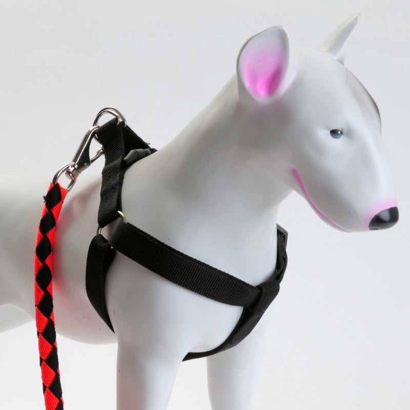 Product Image for 3 delers selesett til hund: Sele/Halsbånd/Kobbel