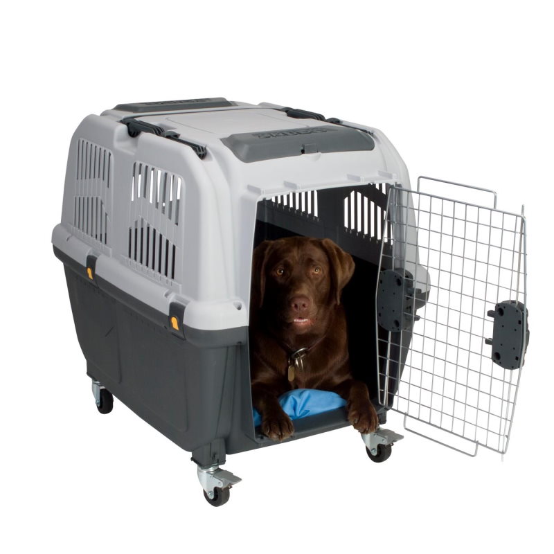 Product Image for Skudo 4 transportbur IATA 68x48x51cm