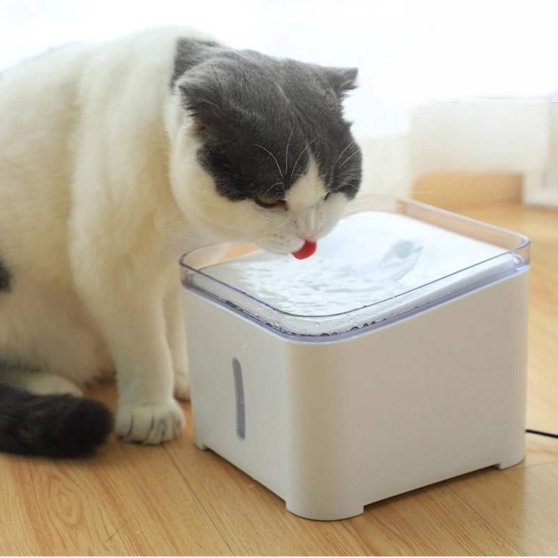Movapet elektrisk vannfontene katt og hund | drikkefontene | vanndispenser - 2ltr Katt