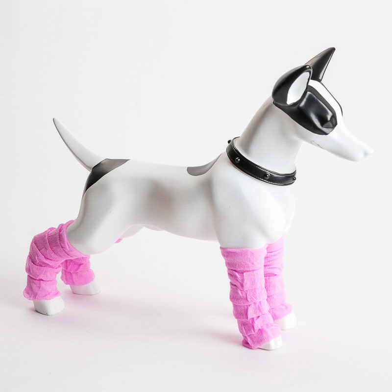 Product Image for 4pack ankelvarmere til hund
