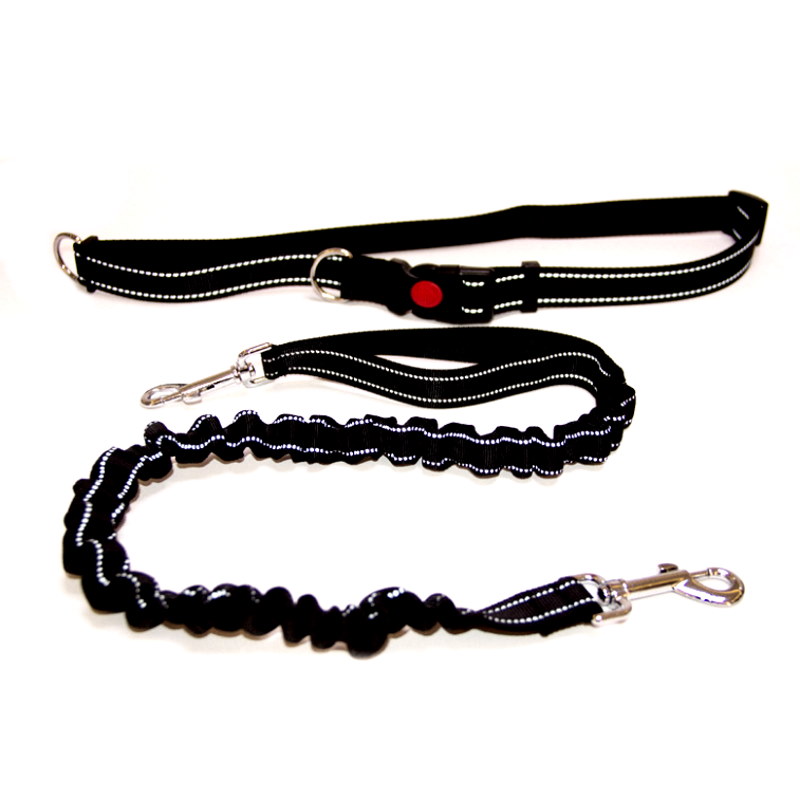 Product Image for Elastisk magebelte til hund: Refleks og klikklås
