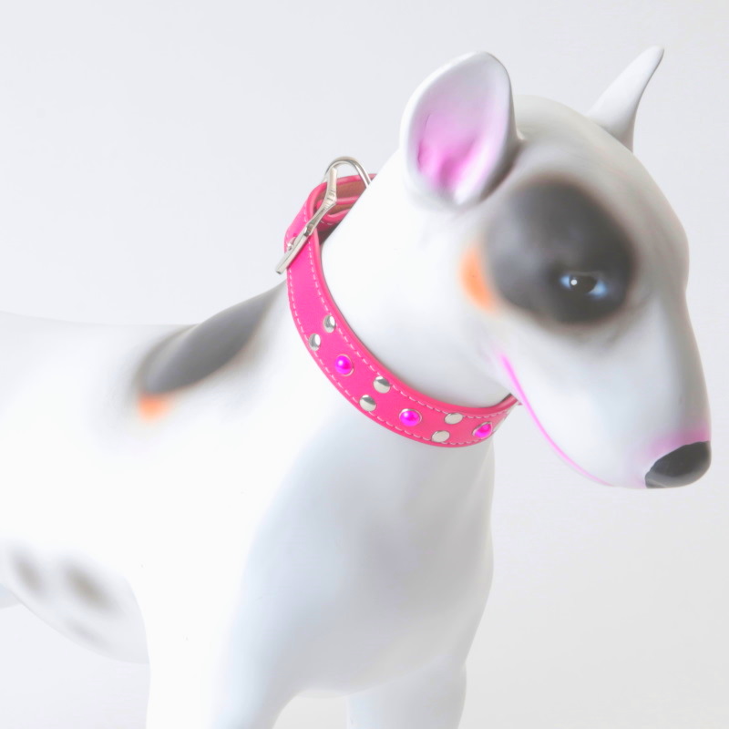 Product Image for Halsbånd hund | Perlehalsbånd til hund