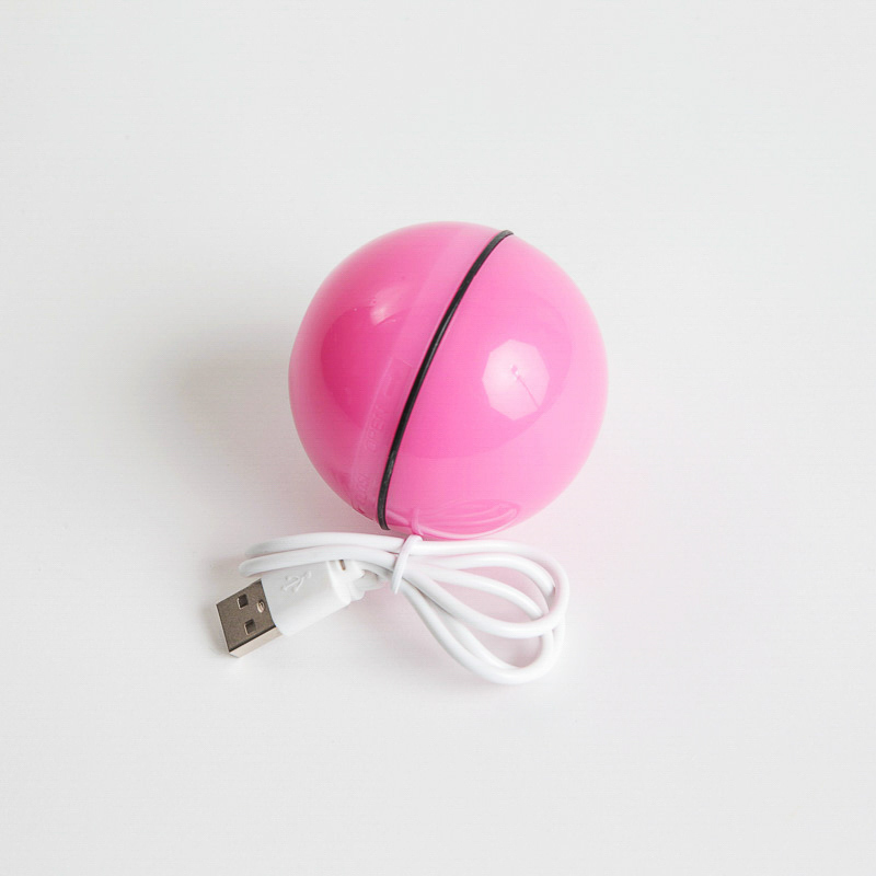 Product Image for Katteleker | Bevegelig gyroball katteleke med usblader