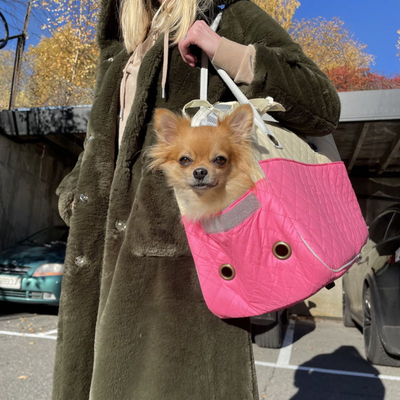 Product Image for Hundeveske | håndveske til katt og hund