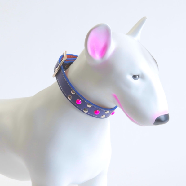 Halsbånd hund, hundehalsbånd i blått med rosa perler