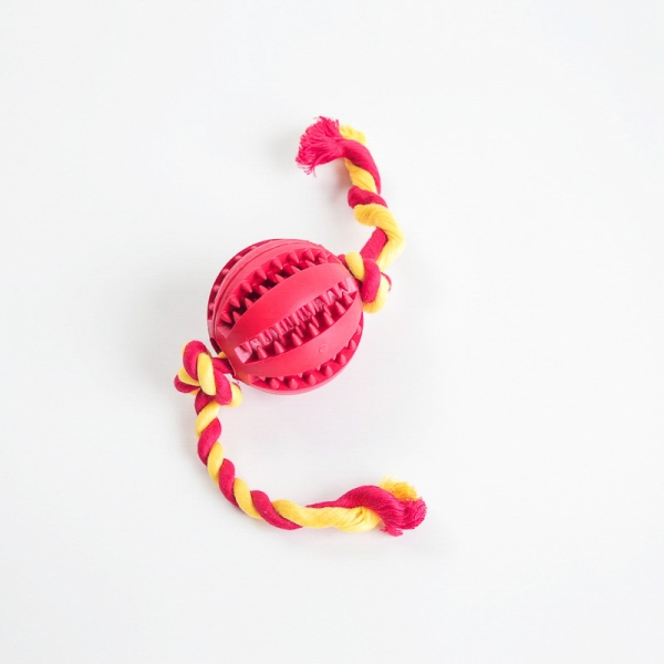 ➤ Draleke med gummiball ➤ Leken består av et tau og en gummidel. God som leke for hunden alene eller sammen med deg i drakamp og kastelek, katteleke med ball, katteleker nettbutikk, tyggegummi for hunder