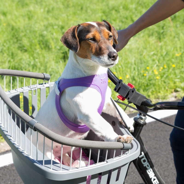 Atlas 20 trygg sykkelkurv med solid sykkelfeste og  sikkerhetsbelte som kan festes i hundens sele. Foran er det et sikkerhetsgitter og en kant som hunden kan st&aring; mot 47x35x34cm, Sykkelkurv til hund, kurv til hund, Hundekurv til sykkel, transportbur 