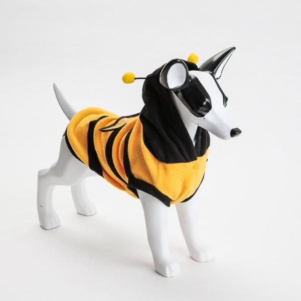 Bie-kostyme til hund, bie-kostyme til katt, halloweenkostyme til hund, hundekostyme, kattekostyme