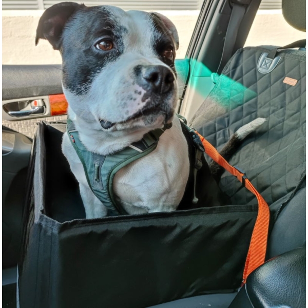 Svart setebeskytter for hunder med fleksible løsninger. Beskytt bilen mot hundehår, smuss og riper.