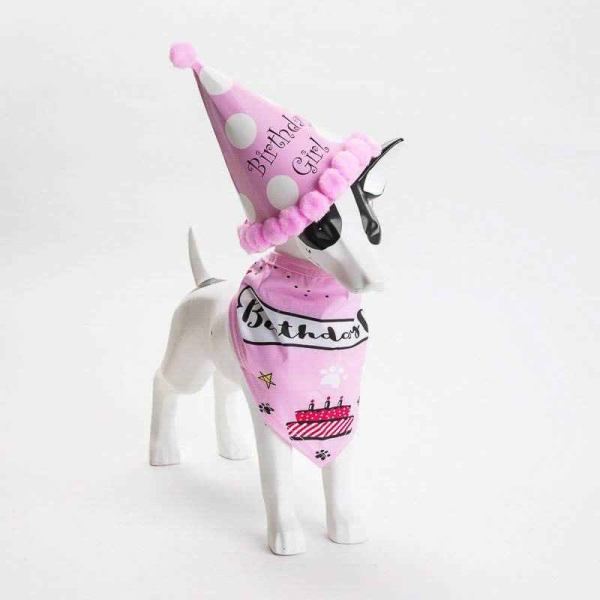 Fødselsdagshatt og halstørkle til hund -rosa. Bursdagskostyme til hund. Søt liten rosa bursdagshatt og matchende bandana som passer til liten og stor hund, hund, hundeklær, kostyme, fashion, hundedekken