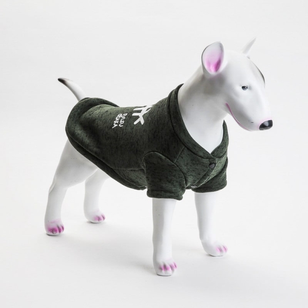 Fishbone jakke til hund Grønn ➤ Myk og behagelig genser til hund ➤ Perfekt på høsten eller under som et ekstra lag på vinteren. Festes med knapper under magen/brystet. 