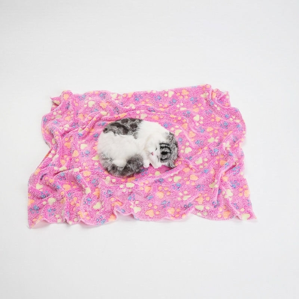 ➤ Mykt fleece-teppe til katt og hund med potetrykk ➤➤ Teppet kommer i flere størrelser og farger. Perfekt i en valpepakke eller som tilbehør til bur og hundeseng