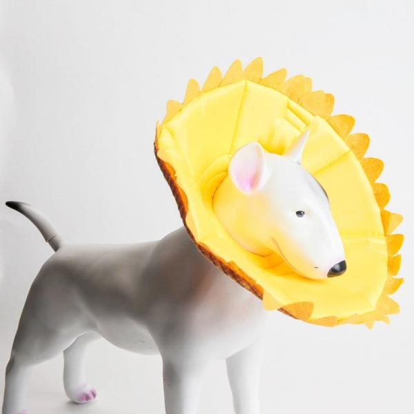 Beskyttelseskrage i bomull utformet som en solsikke ➤➤ Beskytter hunden/katten fra å komme til sår og skader. Myke kanter beskytter kjæledyret og hus og møbler.