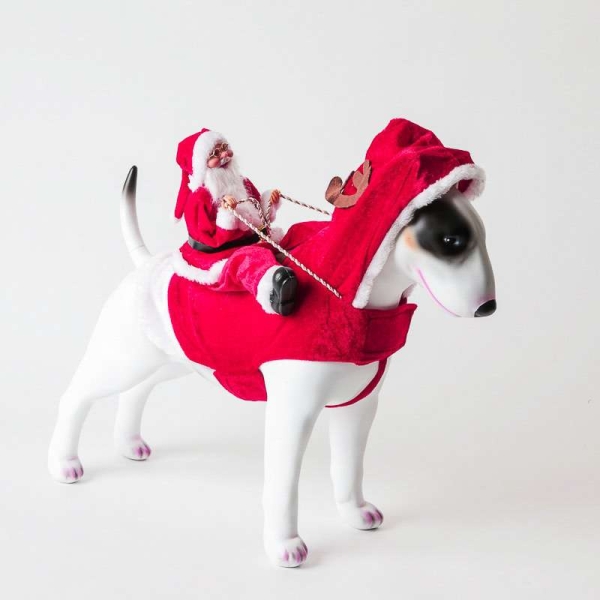 ➤ Julenissedrakt. Julenissen rir julen inn ⚡ Kle hunden din opp i et morsomt julekostyme med ridende julenisse. Festes med borrelås. God kvalitet, god og myk, julenissedrakt dame, julenissedrakt voksen, julenissedrakt hund, nissekostyme hund, nissedrakt h