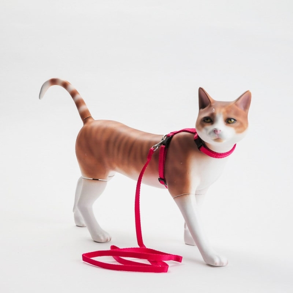 Rødt selesett til katt ➤➤ Selen fordeler vekten jevnt over kattens for en komfortabel luftetur. Festes med klikkspenne. Kommer i flere farger.