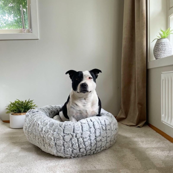  Den svært populære marshmallow sengen til hund og katt ➤➤ Varm og god i moderne design. Kommer i flere størrelser. Høye kanter slik at kjæledyret kan hvile hodet.