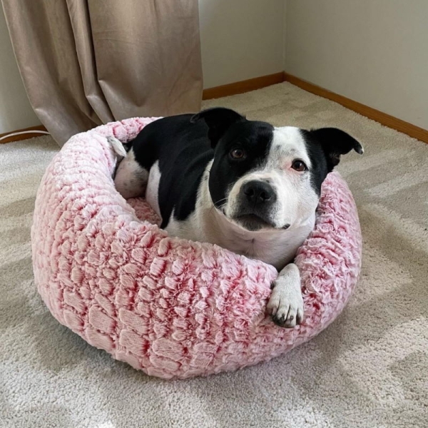➤ Den svært populære marshmallow sengen til hund og katt ➤➤ Varm og god i moderne design. Kommer i flere størrelser. Høye kanter slik at kjæledyret kan hvile hodet.