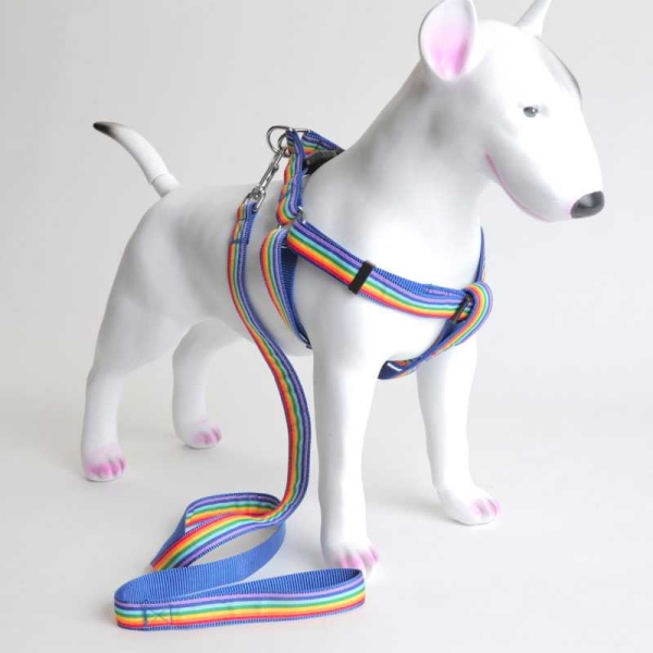 ➡️ Selesett med hundebånd i regnbuens farger ⭐ Step-in sele med klipsfeste på ryggen. Selen kommer i flere størrelser og passer fra liten til stor hund.