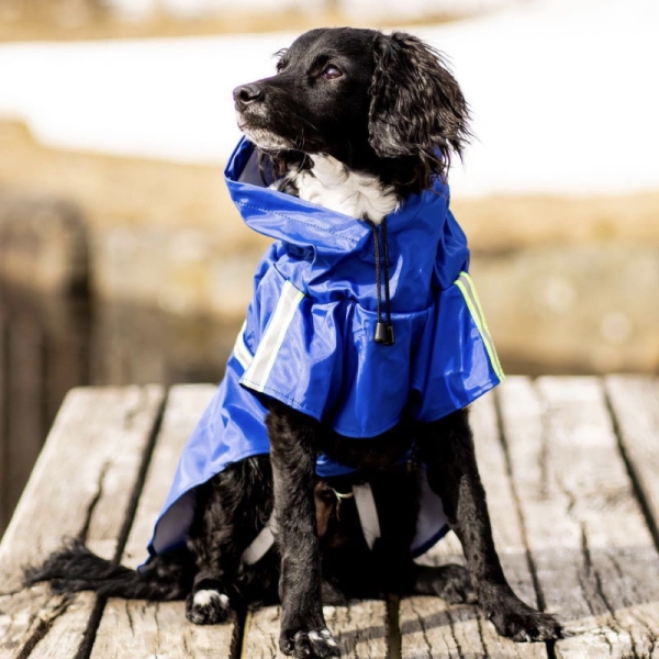 Regndekken til hund med åpning til halsbånd. Regnfrakken passer til de fleste hundestørrelser. Refleks som gir god synlighet i mørket eller i dårlig vær. 
