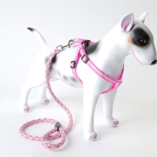 Hundesele, Selesett hund i duse farger, hundesele og kobbel i rosa