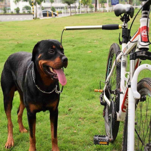 ➤ Elastisk sykkelfeste hundebånd 75-125cm ➤ Du fester metallstangen slik at den stikker ut fra sykkelen sin side sånn at du og hunden har en trygg avstand fra hverandre når du sykler.