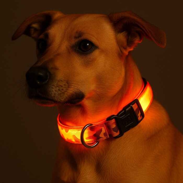 led halsbånd hund, hundelys, ledlys hund, hund synlig i mørket, oppladbart ledlys til hund