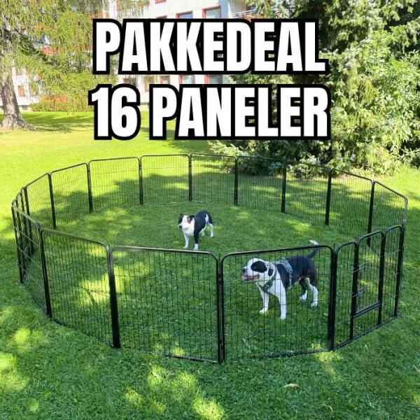 Hundegjerde, hundegård