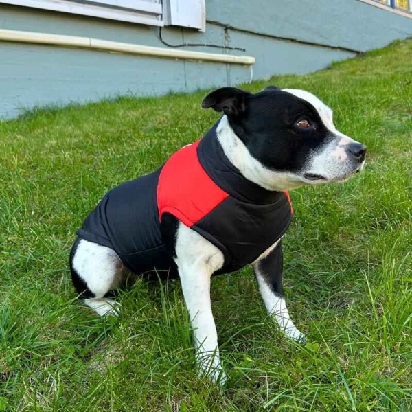 Dekken hund, vinterjakke hund, hundejakke med feste til kobbel, rød hundedekken