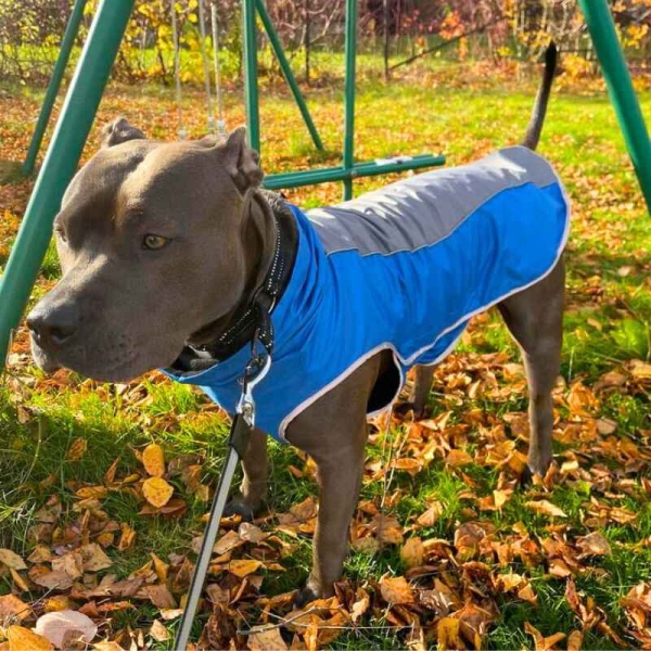 Dekken hund, vannavstøtende hundedekken, hundejakke med fleece foring, refleks hundedekken, hundejakke med feste til kobbel