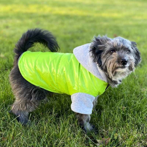 hundedekken, hundejakke med hette, vinterjakke hund, hundedekken med bein