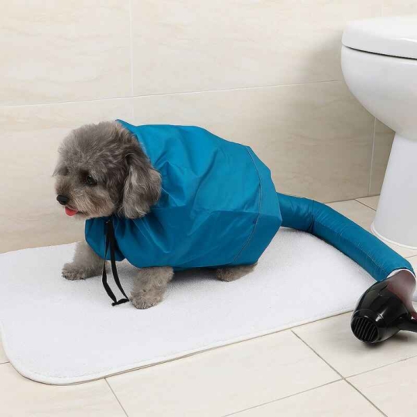 Fønerdress, føner hund, tørke hund, føn av hund, hårføner hund, tørkeboks hund, rask tørk av hund