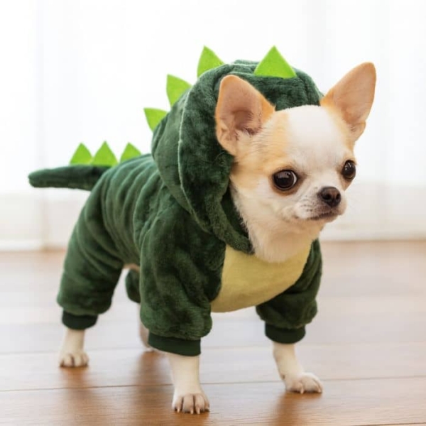 krokodille kostyme til hund, krokodille kostyme til katt, halloweenkostyme til hund, hundekostyme