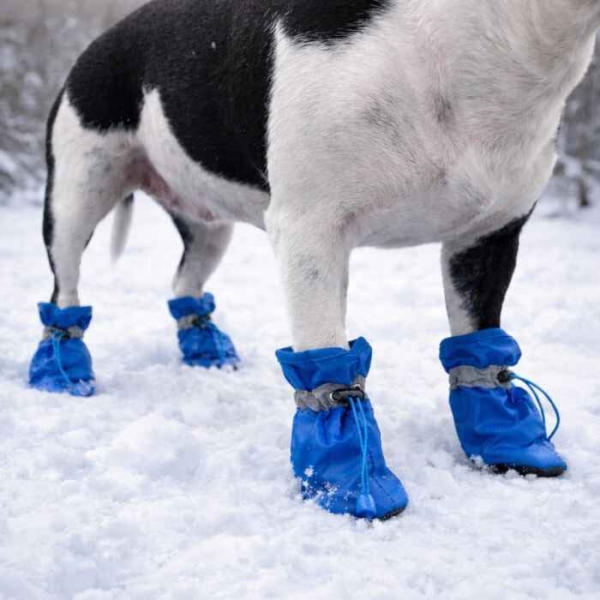 Potesokker hund, vintersko hund, hundesko, hundesokker, forede potesko, potesokker med strikk stramming