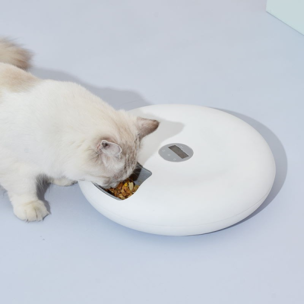 Fôrautomat til katt og hund med 6 porsjoner