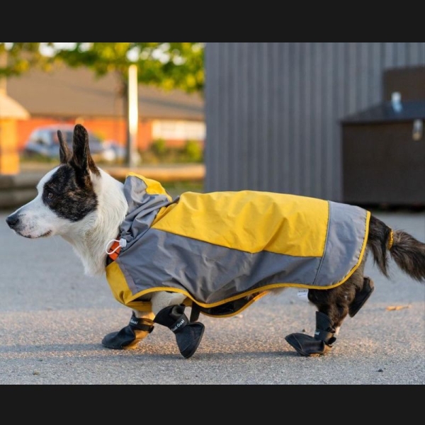 Hundedekken, regndekken hund, regnjakke hund, gul regndress hund, regndekken med hette til hund, regndekken hund med åpning til kobbel