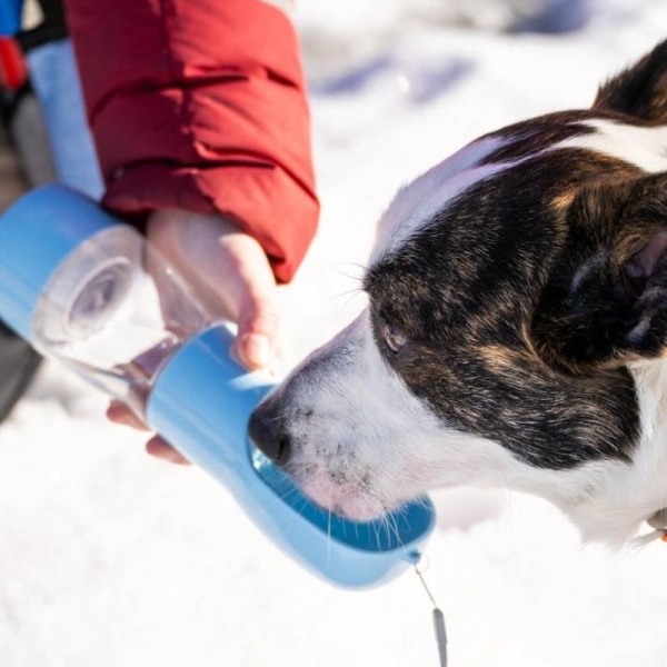 turflaske hund, vannflaske hund, hundeflaske, vann og fôrbeholder til hund, mat og vann til hund på tur