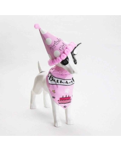 Fødselsdagshatt og halstørkle til hund