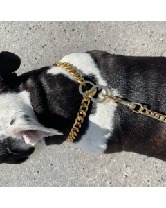 Gullfarvet halslenke i stål til hund -flere størrelser  -tykkelse 2cm - 3,5cm