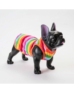 Rainbow genser / singlet til hund
