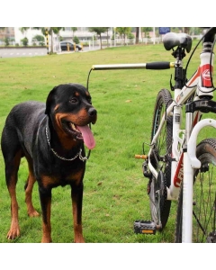 Sykkelfeste til hund elastisk demping 43cm