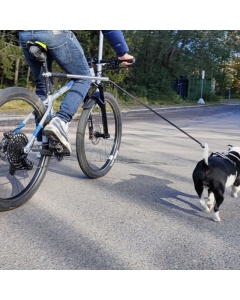 Sykkelfeste til hund, 75-125cm