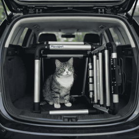 Kattebur til bil: bilbur til katt, bilbur, transportbur katt, bilbur katt