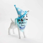 Fødselsdagshatt og halstørkle til hund
