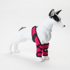 Handicap ben/knestøtte for hunder - Rød
