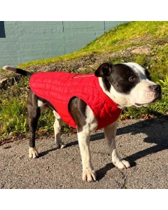 Vannavstøtende hundevest