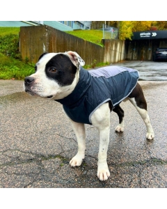 Vannavstøtende hundedekken