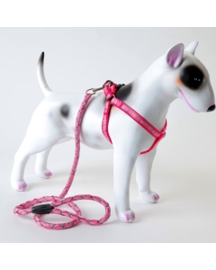 Selesett i duse farger: Sele og hundekobbel