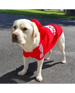 Adidog | hettegenser til hunder